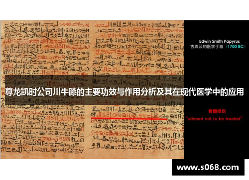 尊龙凯时公司川牛膝的主要功效与作用分析及其在现代医学中的应用