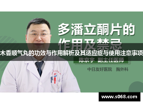 木香顺气丸的功效与作用解析及其适应症与使用注意事项