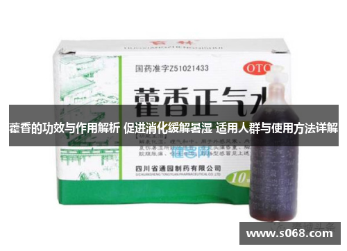 藿香的功效与作用解析 促进消化缓解暑湿 适用人群与使用方法详解