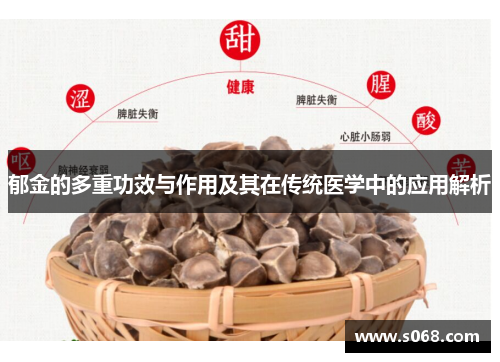 郁金的多重功效与作用及其在传统医学中的应用解析